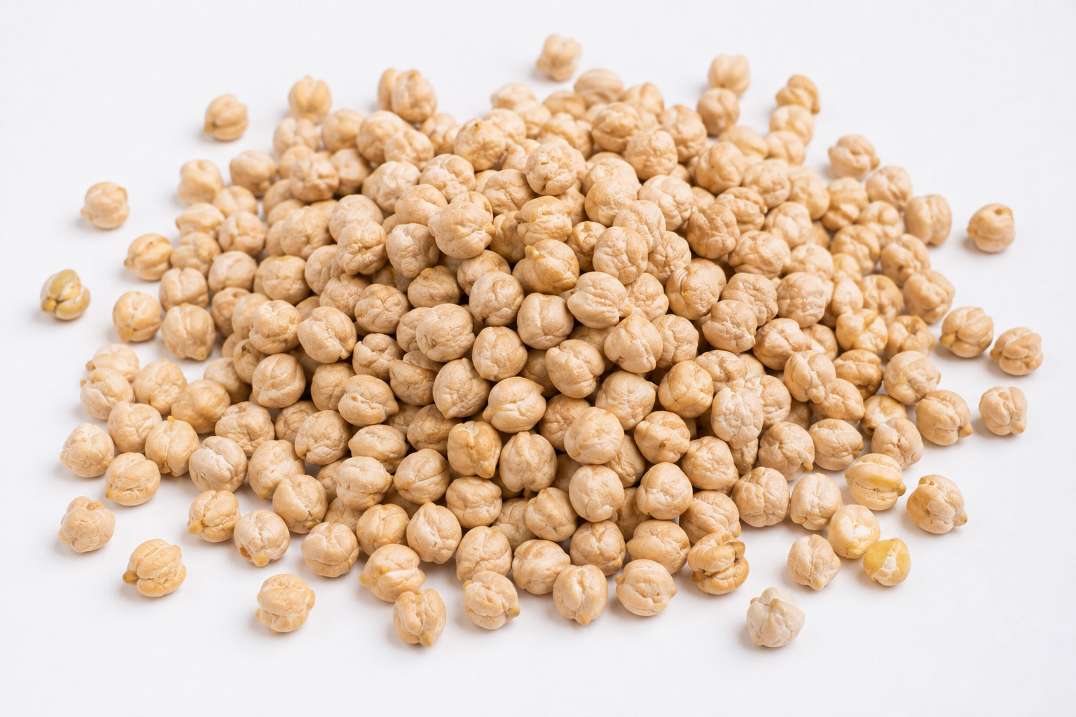 Chickpea
