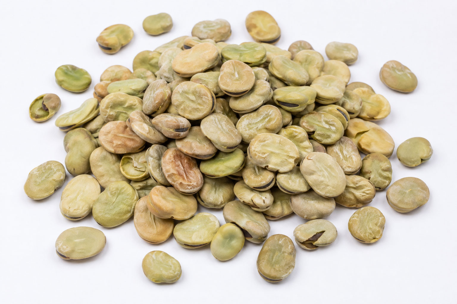 Fava Bean
